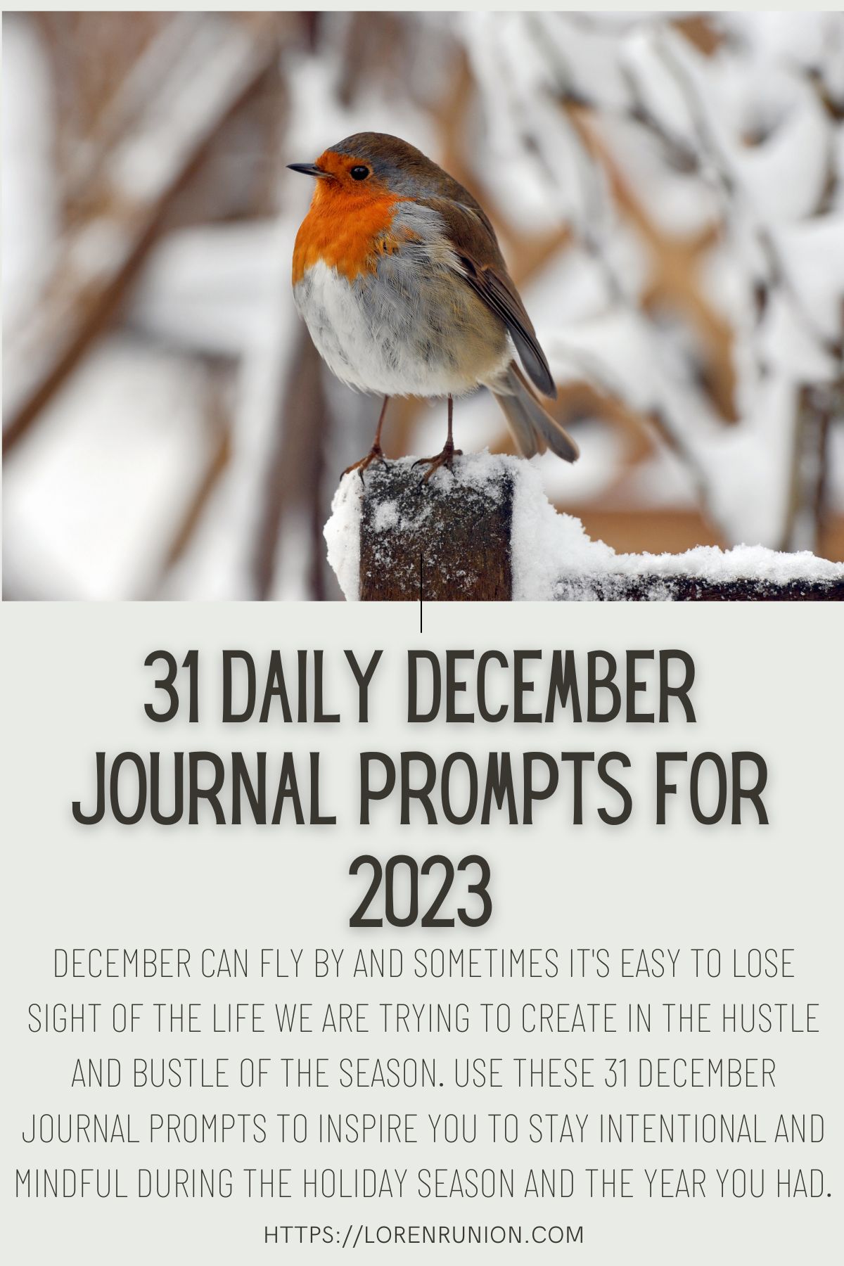 Pinterest image with a Bird with brown and orange feathers in the snow.